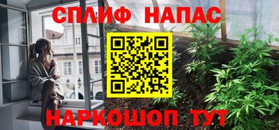 молекула духа Камышлов