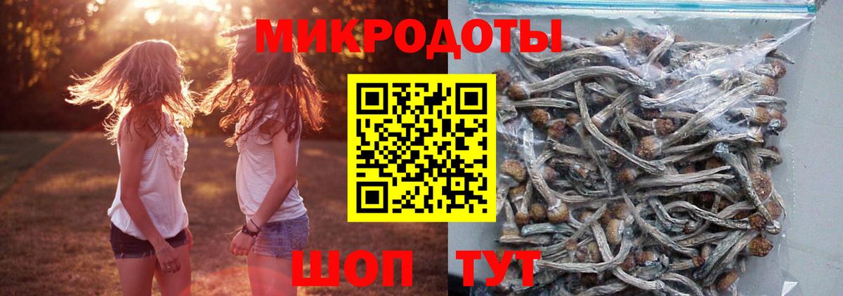 Рассказово  Псилоцибиновые грибы Psilocybine cubensis  Вход с VPN 